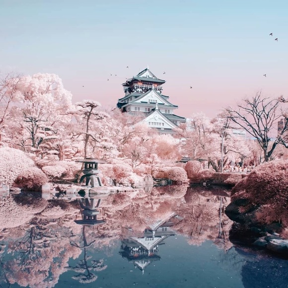 Meet your Posher, Jasmine - Picture 1 of 1